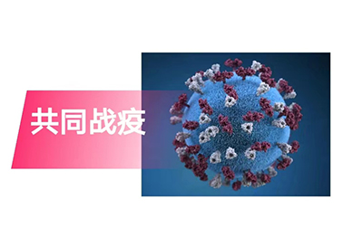 江北新區(qū)管委會副主任陳潺嵋慰問我司